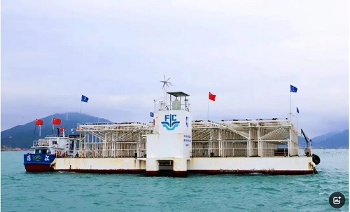 人民日报头版头条！福建做大做强海洋经济