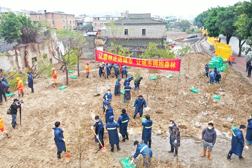 复工复产不松劲 植树添绿正当时