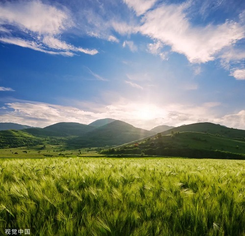 【网络中国节•小满】今日小满