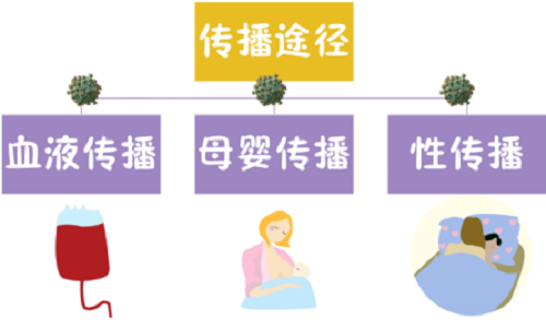 妇幼科普 | 给孕妈妈的一封信：消除“艾梅乙”，您要了解这些