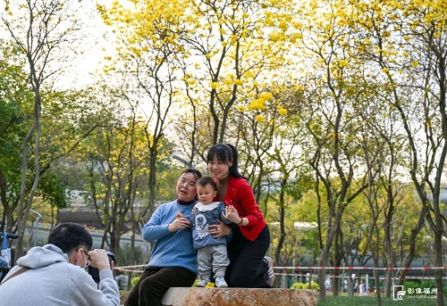 黄了黄了！福州人记忆中的它，回来了！