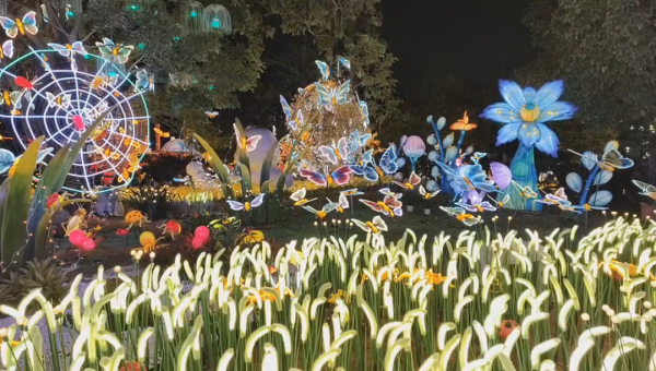 万灯之夜28日璀璨启幕，首日客流突破万人！