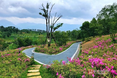 对标国内一流！三江口植物园将分四期建设